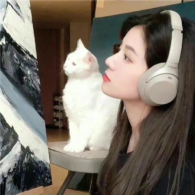 极地先锋